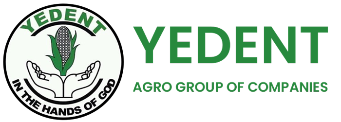 Yedent Agro Group of Companies Ltd. Yedent Agro Group of Companies Ltd.