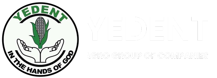 Yedent Agro Group of Companies Ltd. Yedent Agro Group of Companies Ltd.